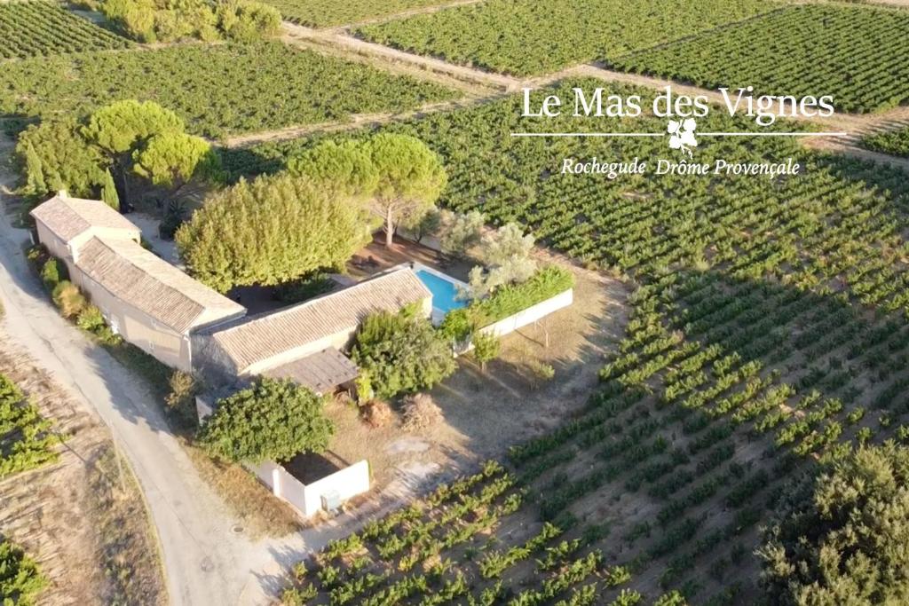 Maison d´hôtes Le Mas des Vignes photo 4