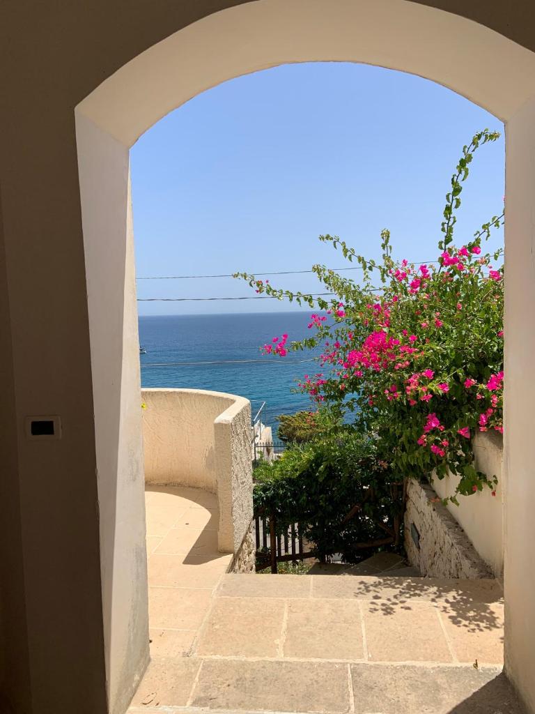 Dame del Mare photo 1