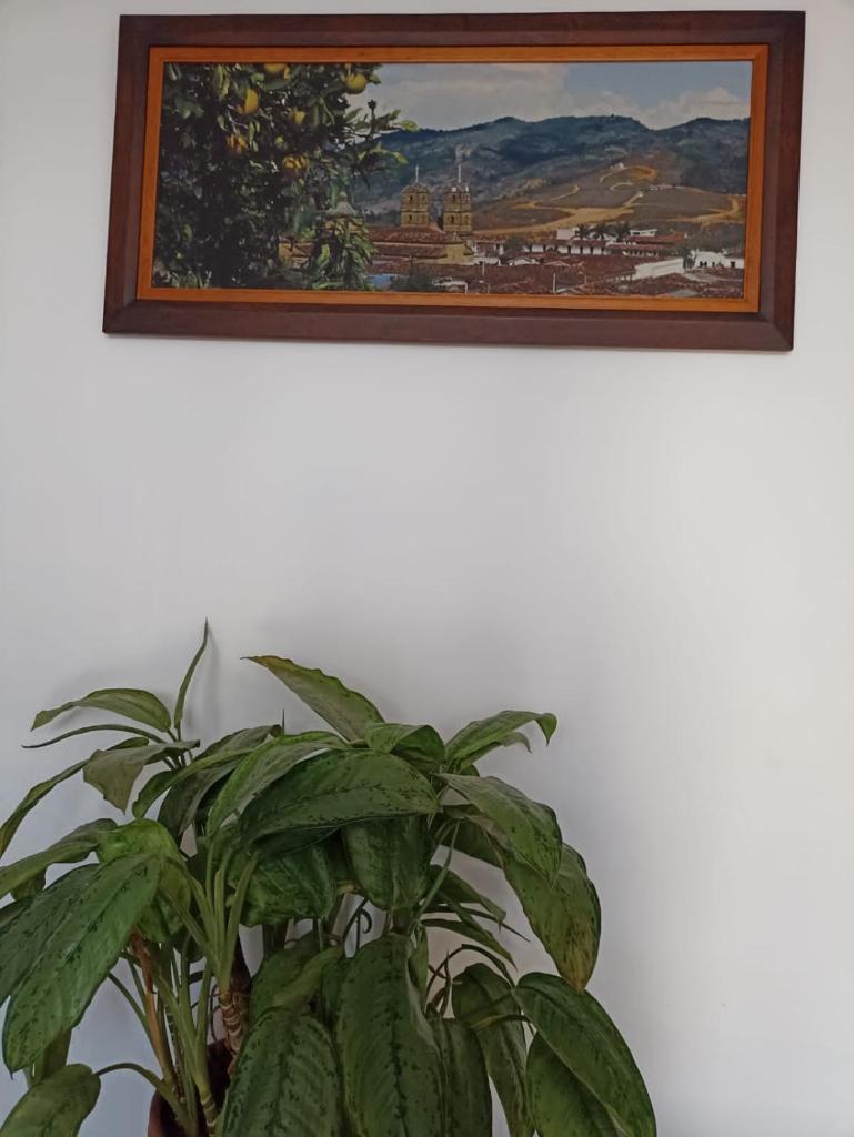 La Casa de Mamá Tere photo 2