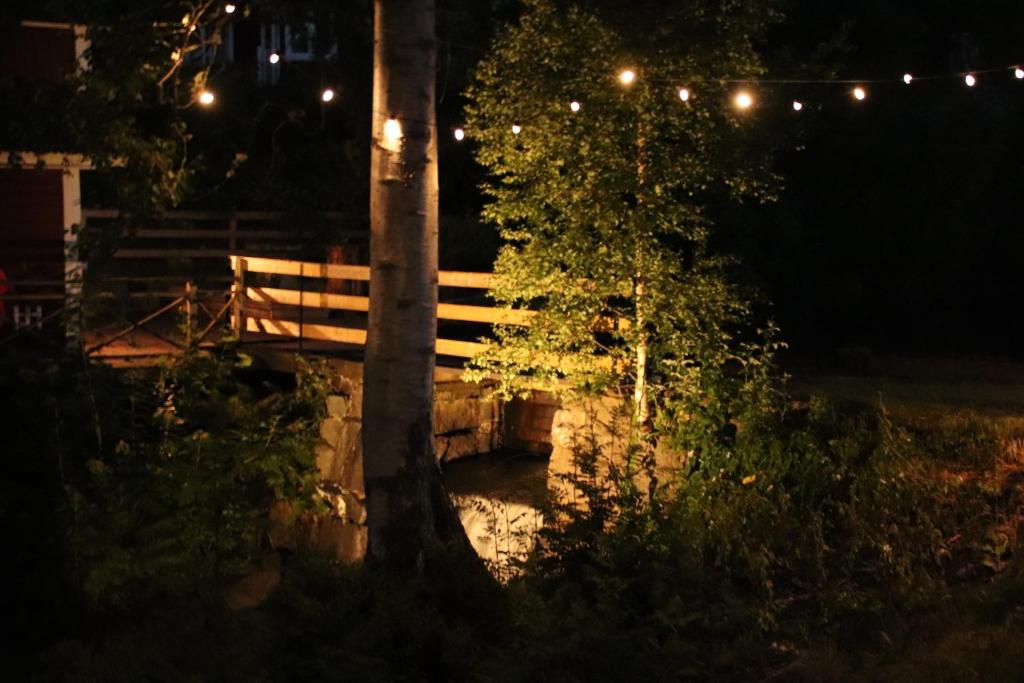 Glamping Julared photo 3