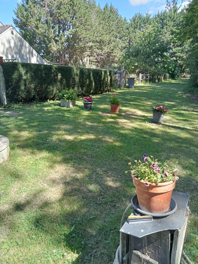Mobil- ranch photo 3