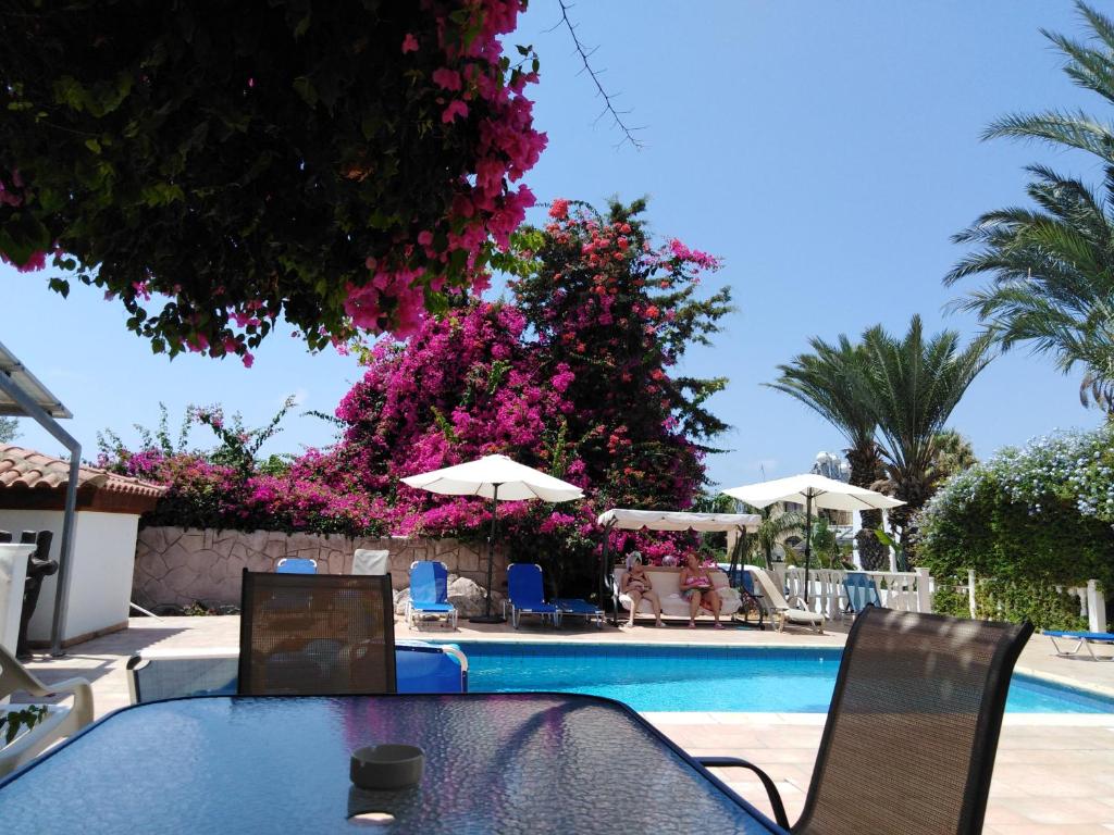 coral cypria villa photo 3