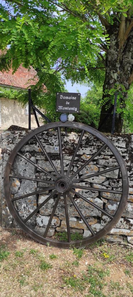 Domaine de Montanty photo 2