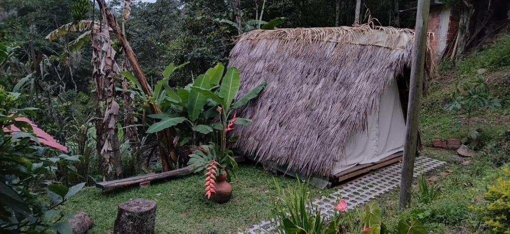 Hostal Payaca photo 4