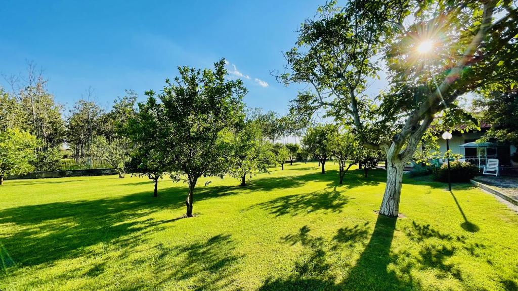 Villa Irene Pisticci-Matera photo 1