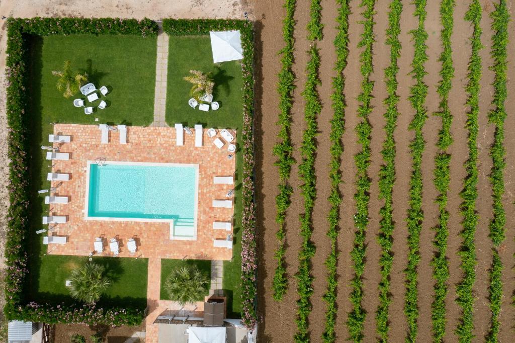Alle Vigne Affittacamere photo 2