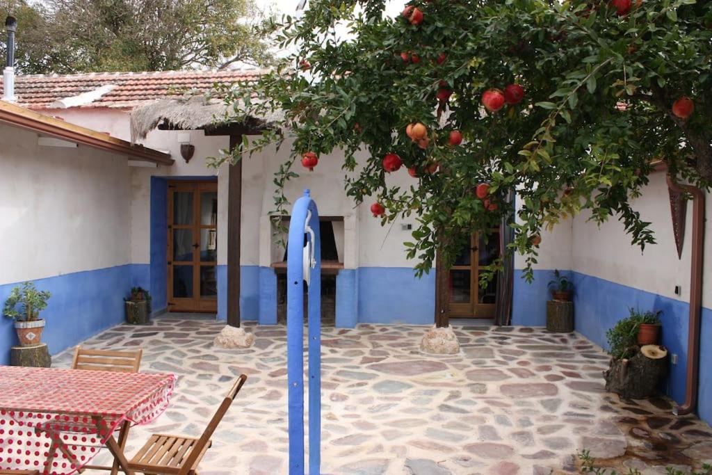 Tierra y Agua photo 4