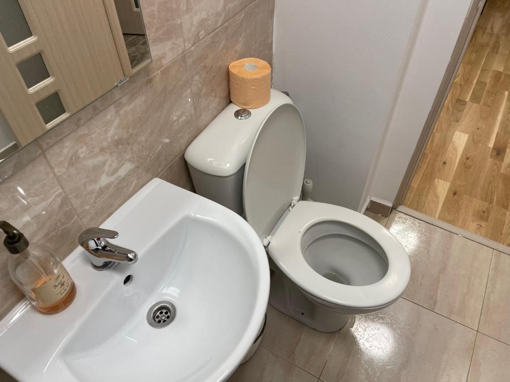 Deluxe Single Room Apartament photo 4
