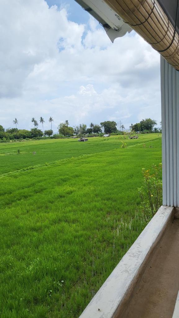 Kartika Villas photo 2
