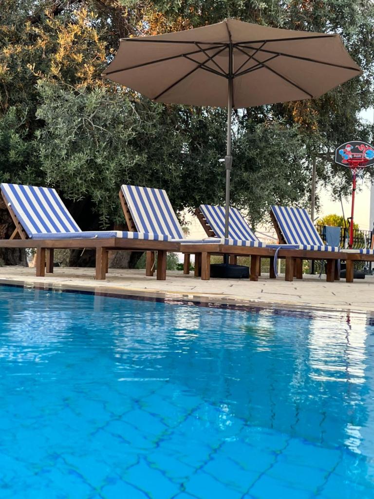 Villa Zeytin photo 3