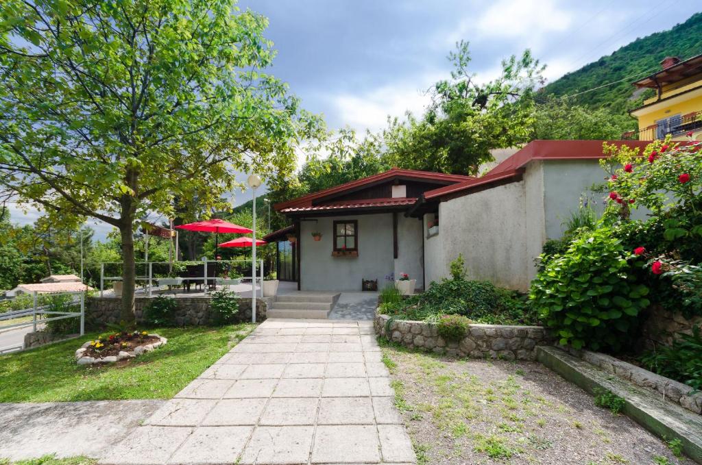 Apartments Branka photo 2