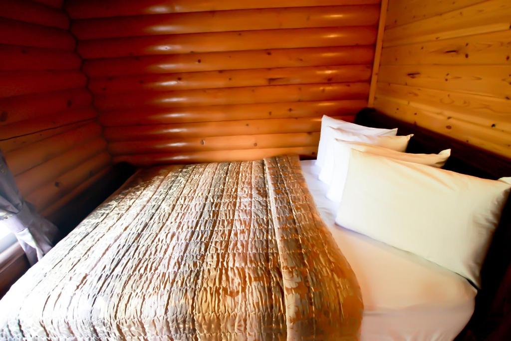 Mt. Revelstoke Alpine Chalets photo 1