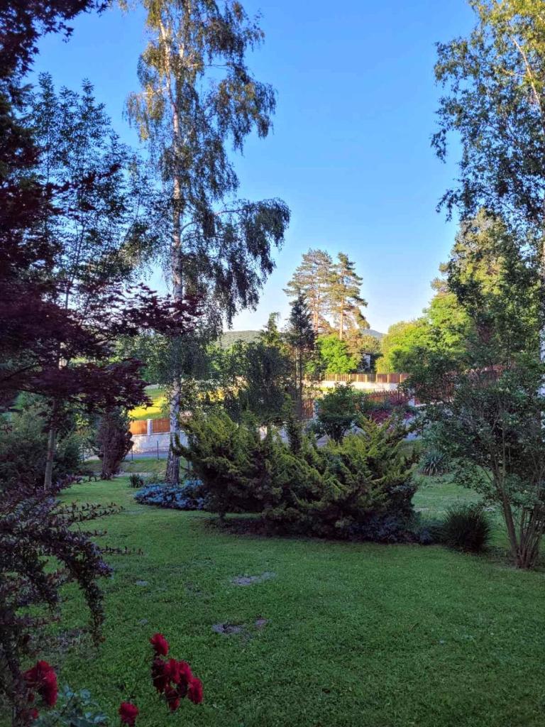 Takovo - odmor u selu photo 1