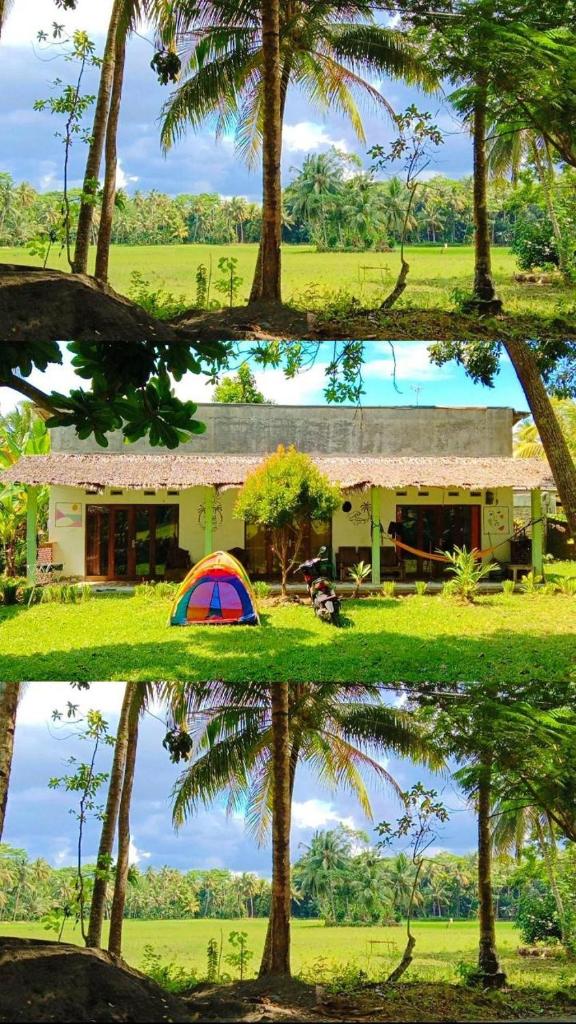 Susan Homestay photo 2