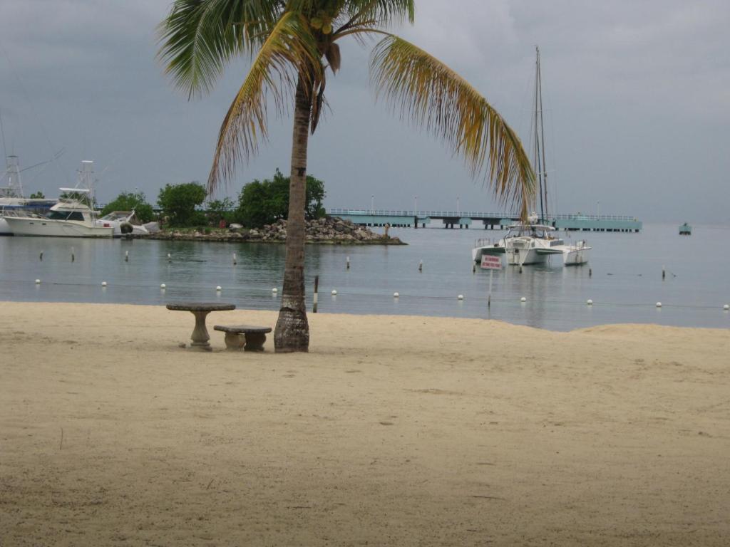 Marchabell by the Sea E22 photo 3
