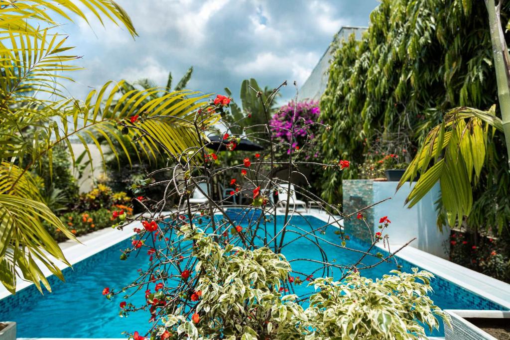 Villa Jaddis photo 2