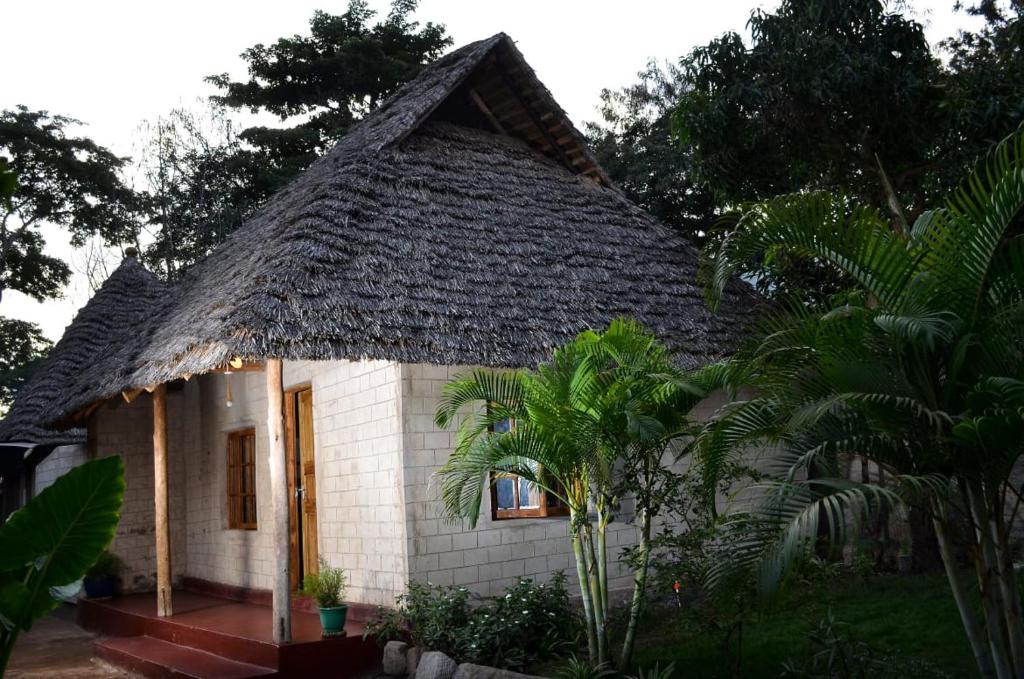 Charming Eco-Homestay near Kilimanjaro International Airport photo 1