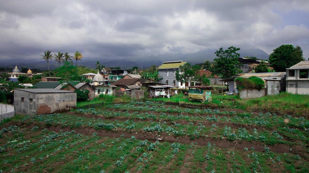 Villa Safari Syariah with Mountain View photo 4