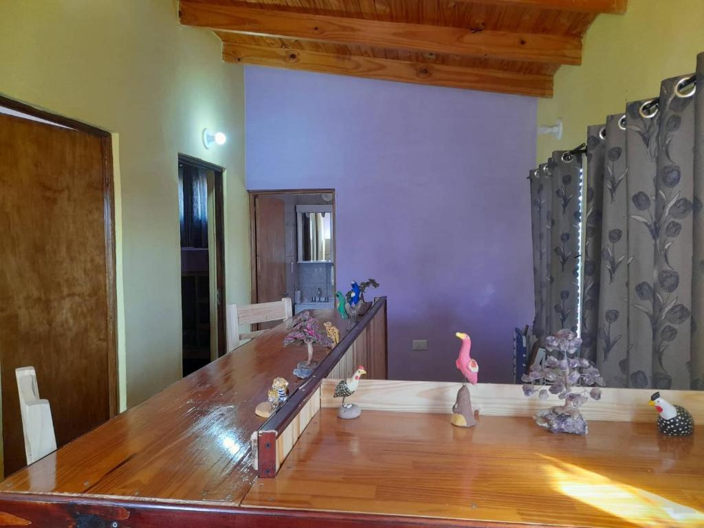 HOSTEL FARFALLA photo 4