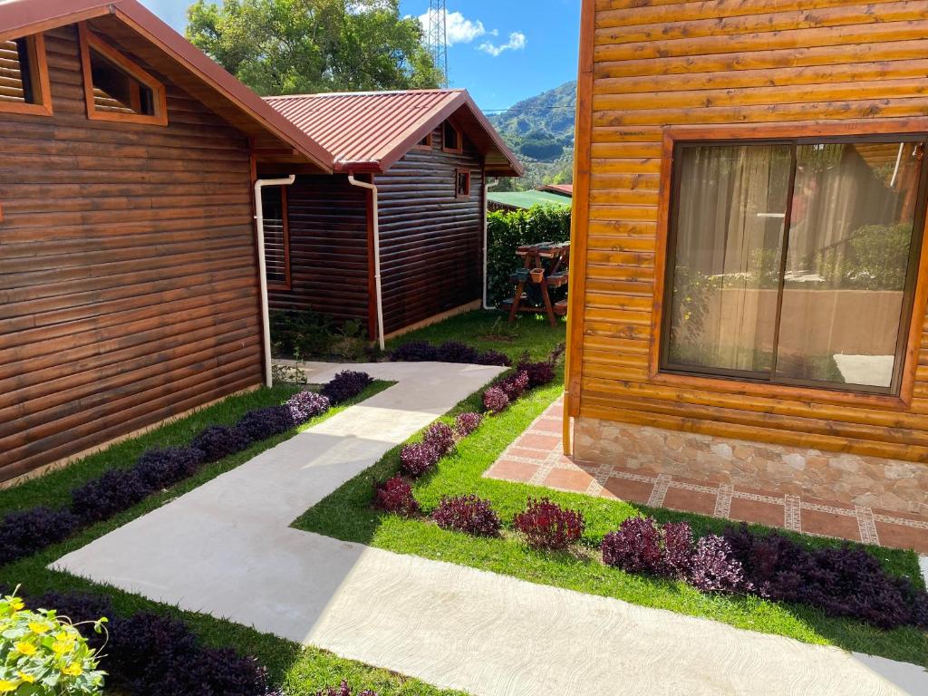 Clusia Lodge photo 3