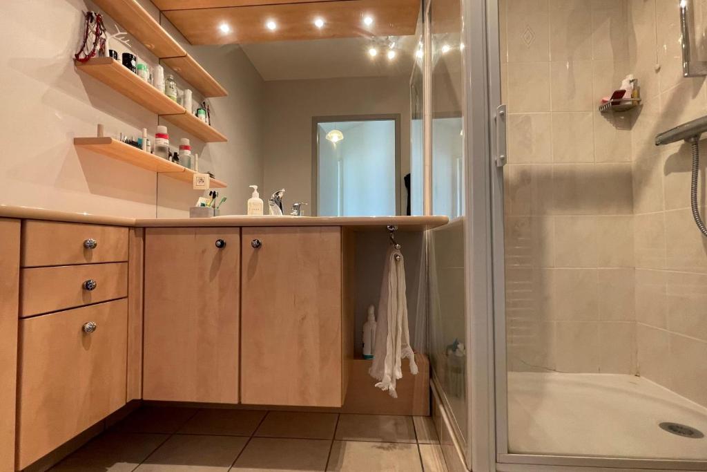 Les Capucines - Appartement moderne proche centre d'Annecy photo 4