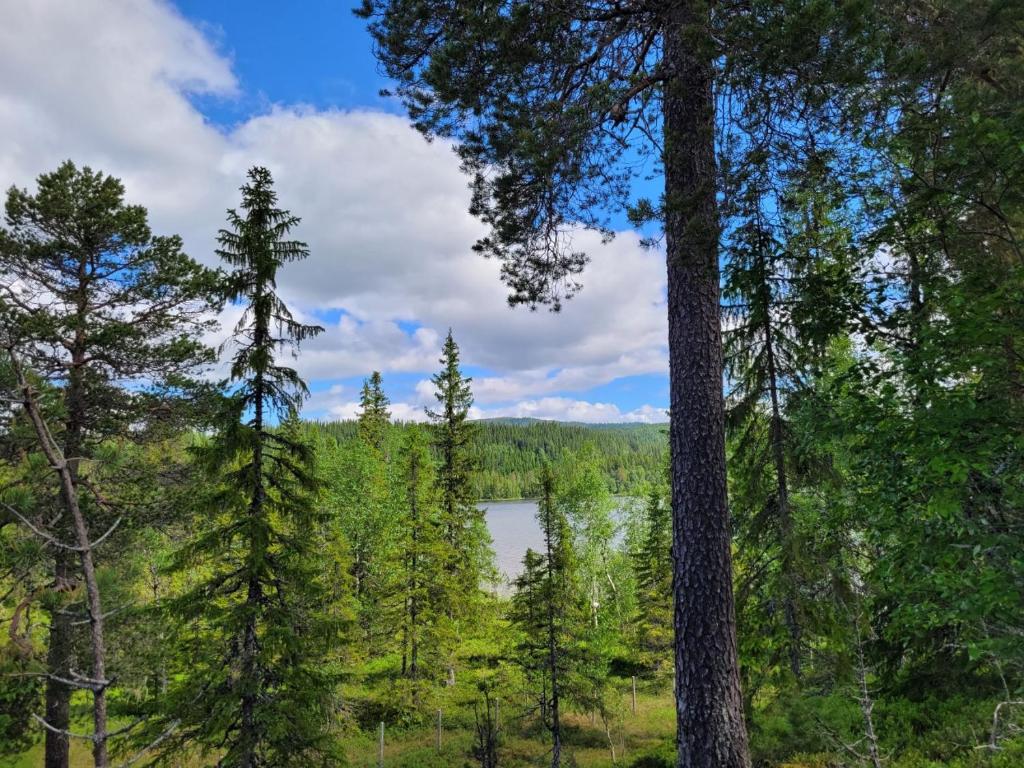 Hytte ved innsjø photo 1