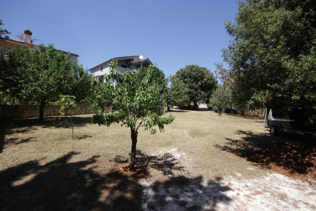 Apartments Smitran photo 4