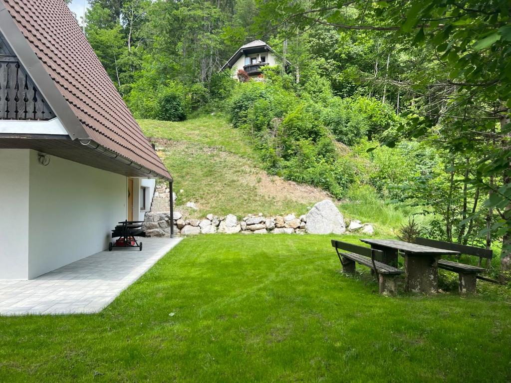 Our Forest House photo 4