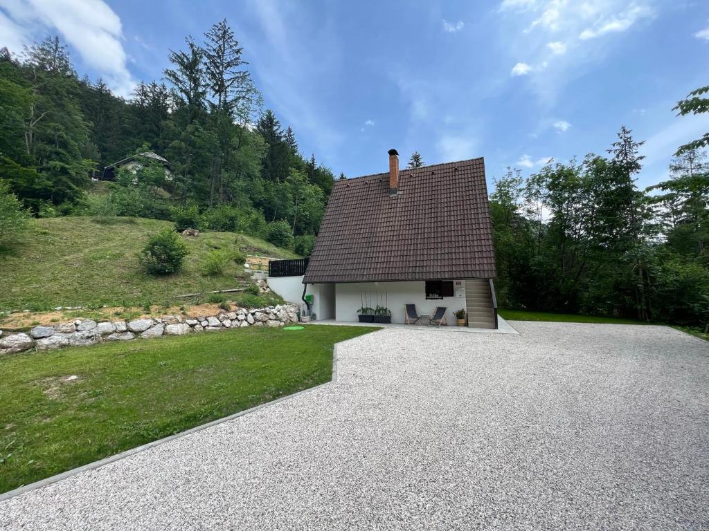 Our Forest House photo 2