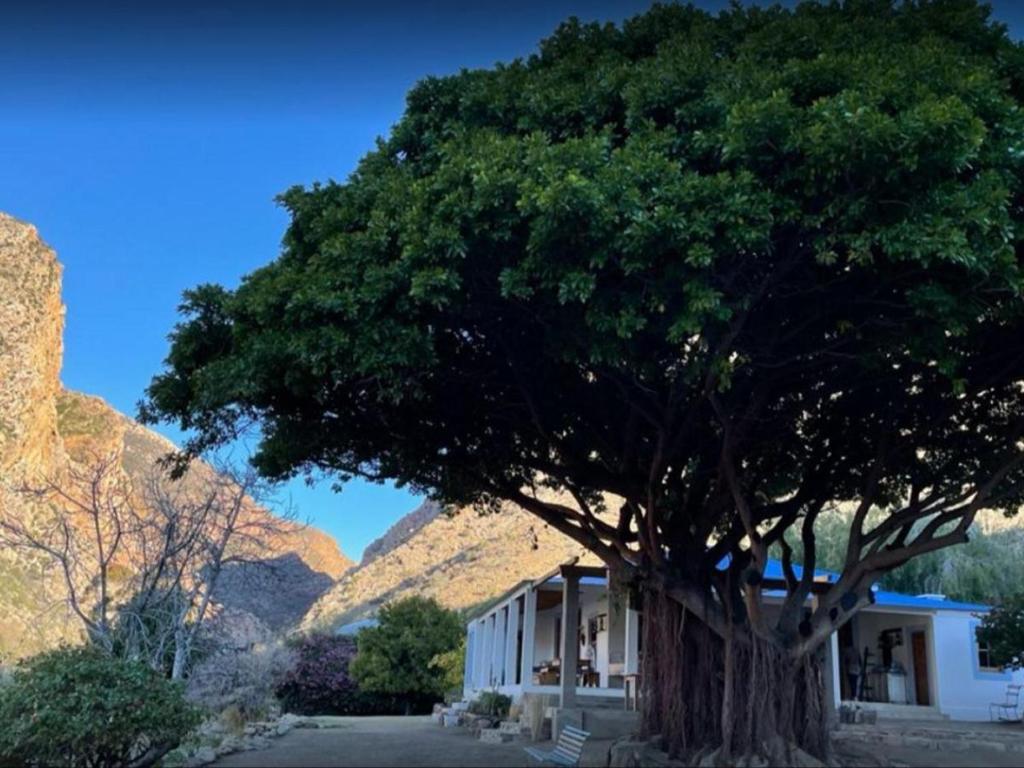 Weltevrede Fig Farm photo 4