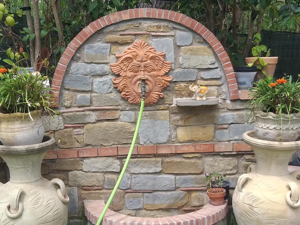 Villa Eden photo 3