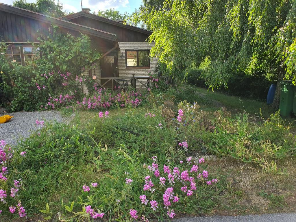 Lugnt boende Intill Ljungbyån photo 1