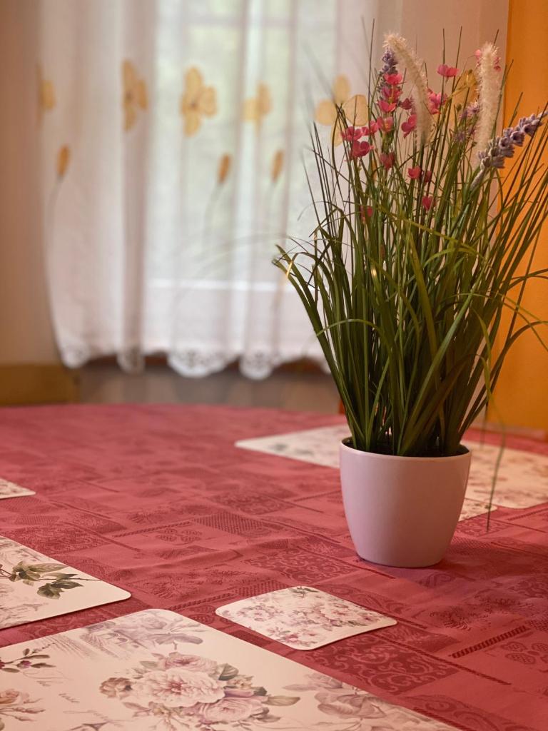 Alba Apartmany Železná Ruda photo 4