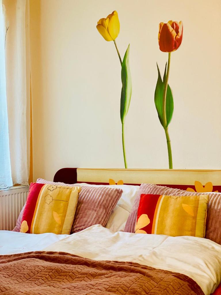 Alba Apartmany Železná Ruda photo 1