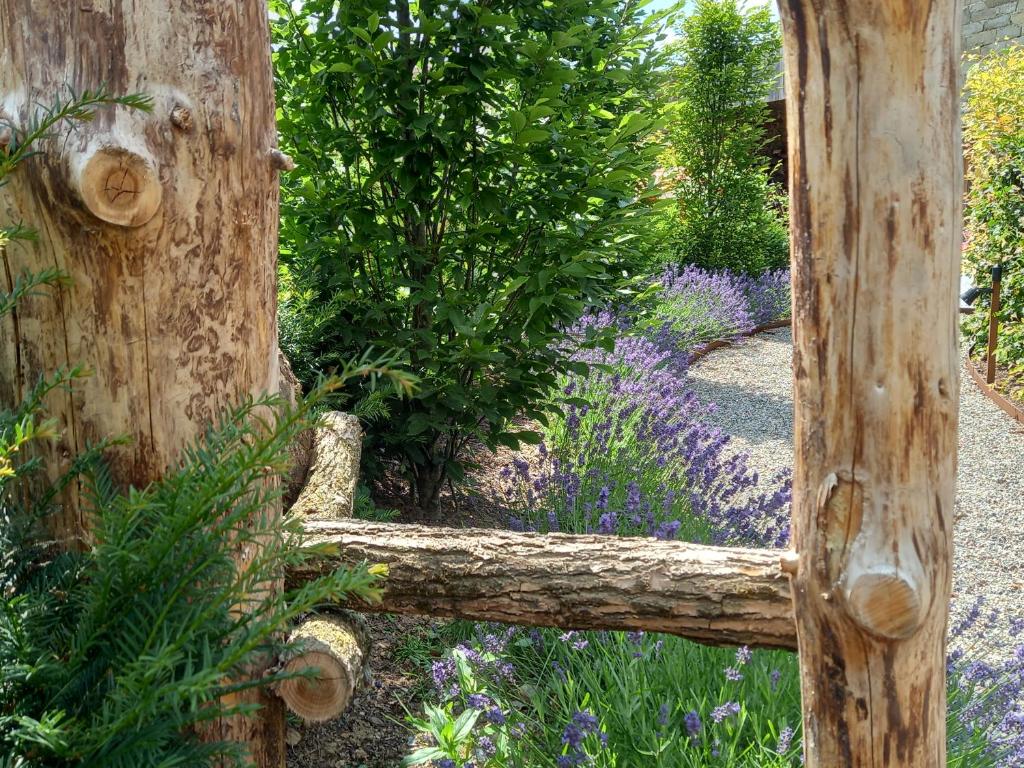 Le jardin des fagnes photo 3
