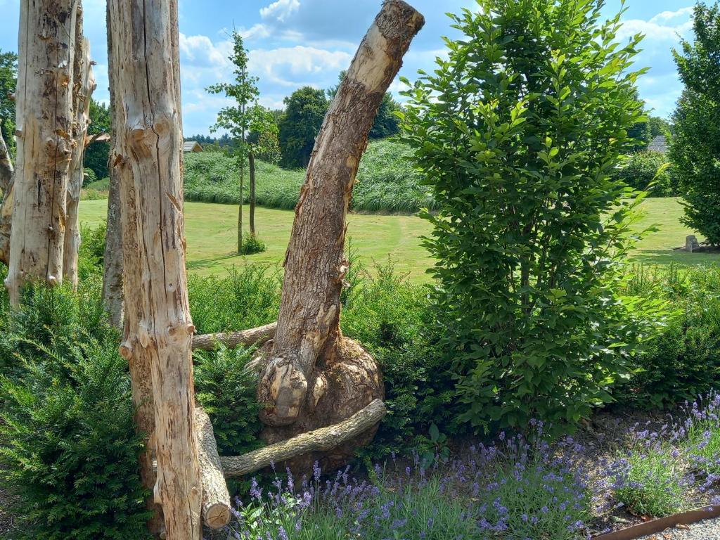 Le jardin des fagnes photo 1