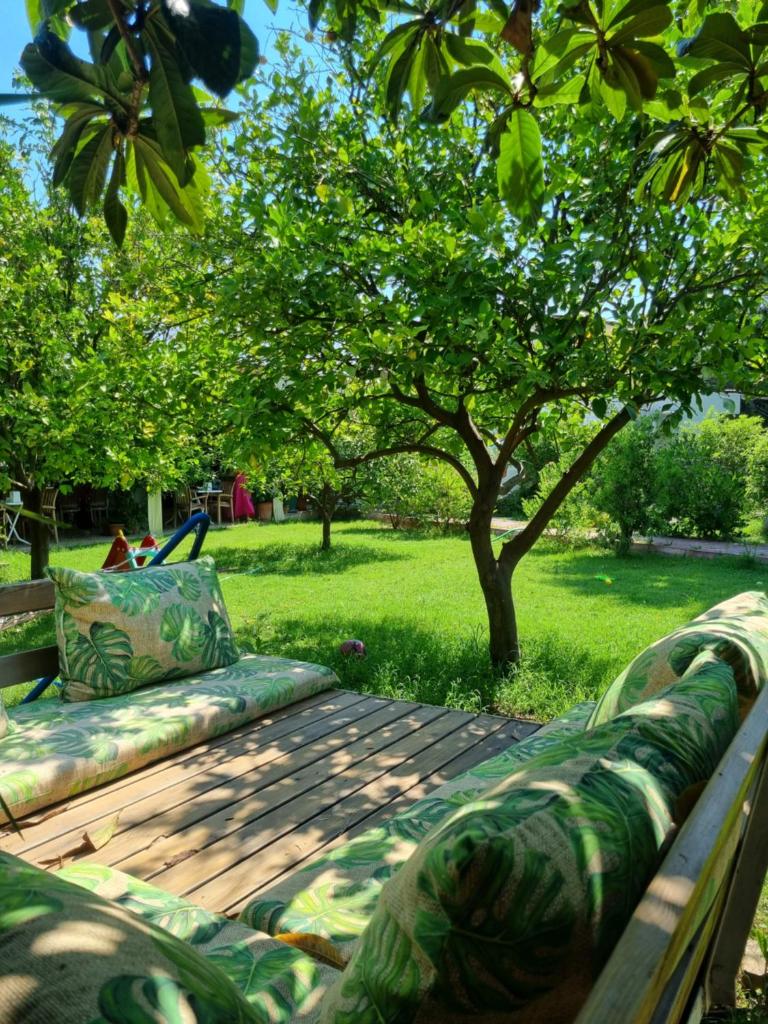 Sunset Boutique Hotel & Apartments photo 3