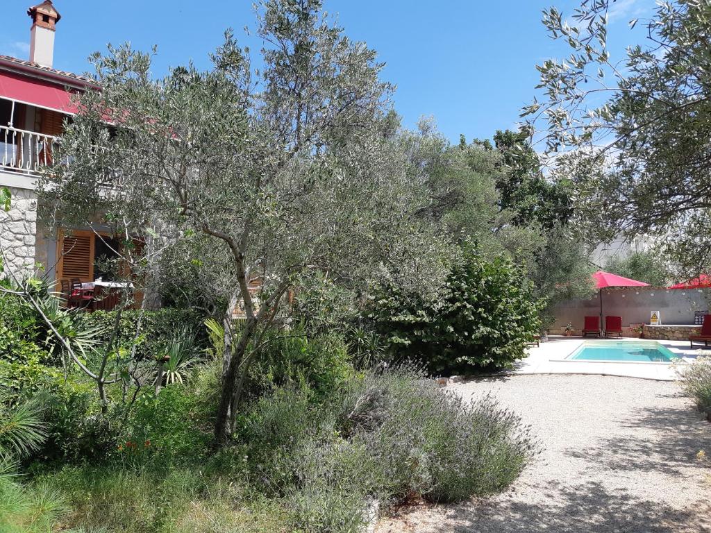 Villa Splendissima Krk - Adults only photo 4