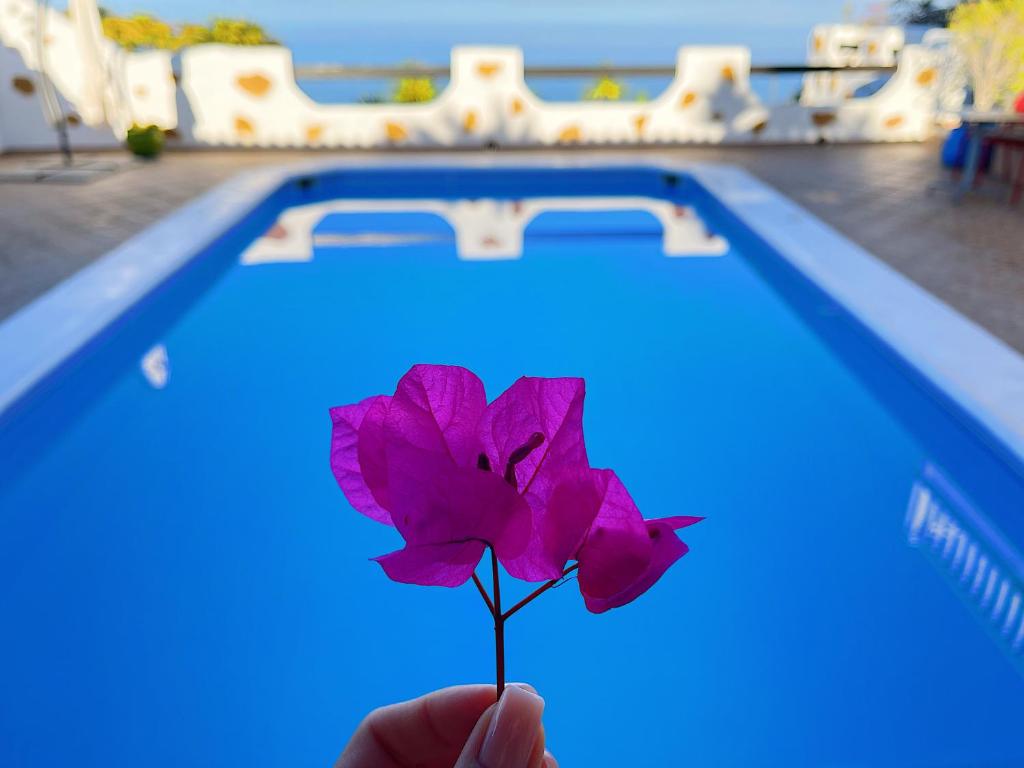 CASANTILVIA heated pool paradise photo 4