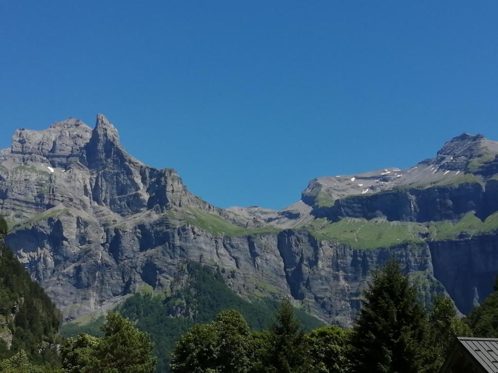 Chalet la corne du chamois photo 3