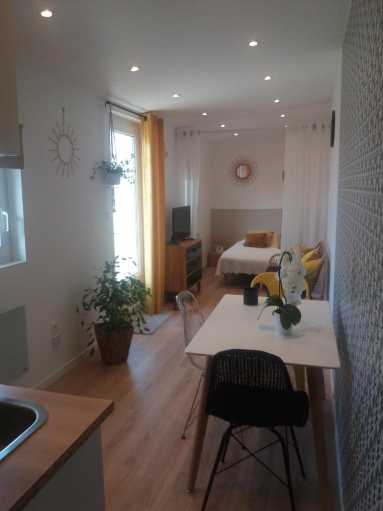 Studio neuf dans propriété au bord de la mer photo 3