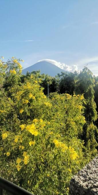 Casa llena de naturaleza y paz perfecta para descansar. photo 3