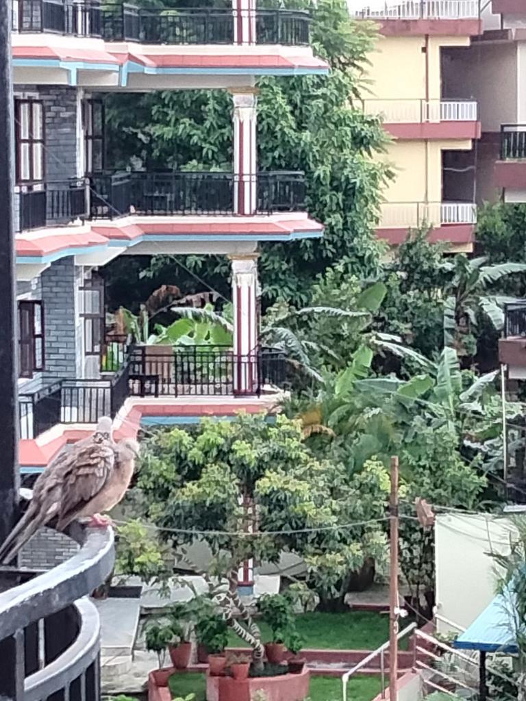 Sunset guest house photo 3