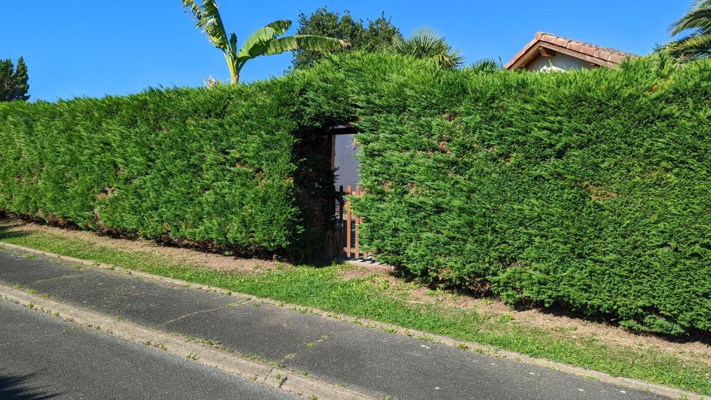 Guest House au milieu des palmiers photo 3