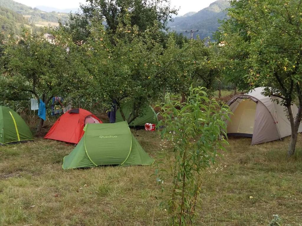 Camp Panorama photo 2