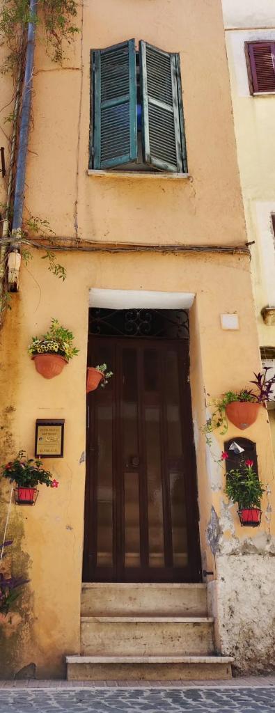 Affitto turistico - La Terrazzina photo 4