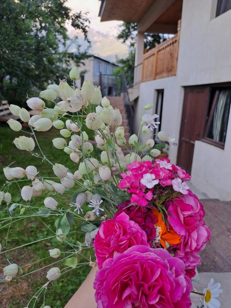 Irina's Guesthouse photo 2