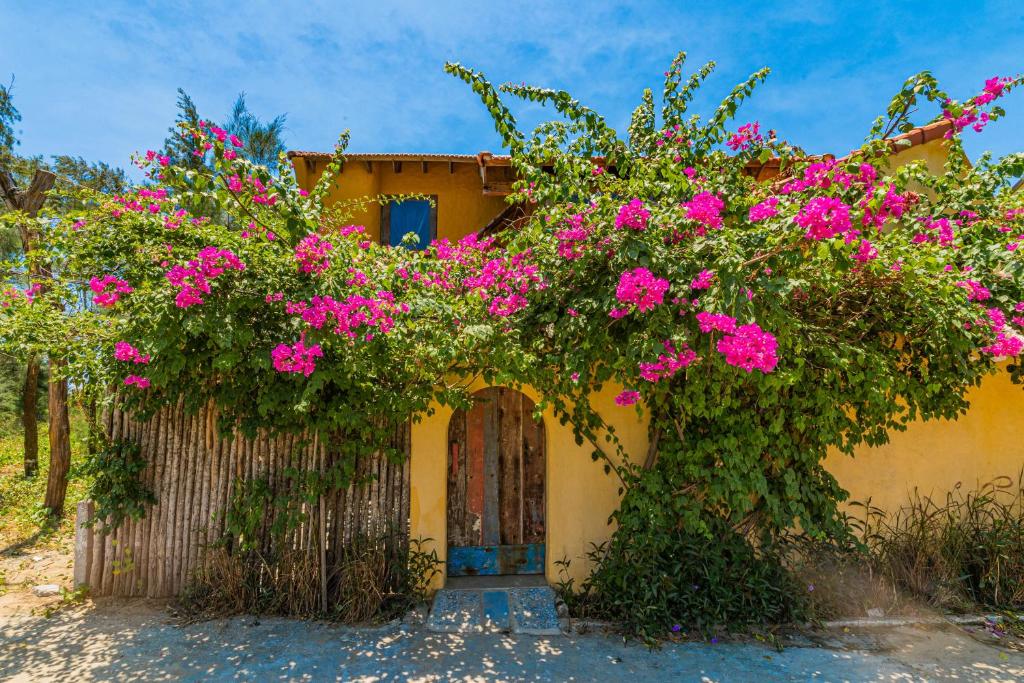 Oceanview Flow - 3 Bedroom House An Bang Beach in Hoi An