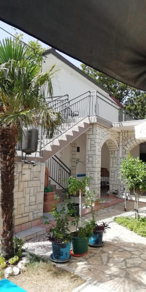 Apartment Hajduk photo 1