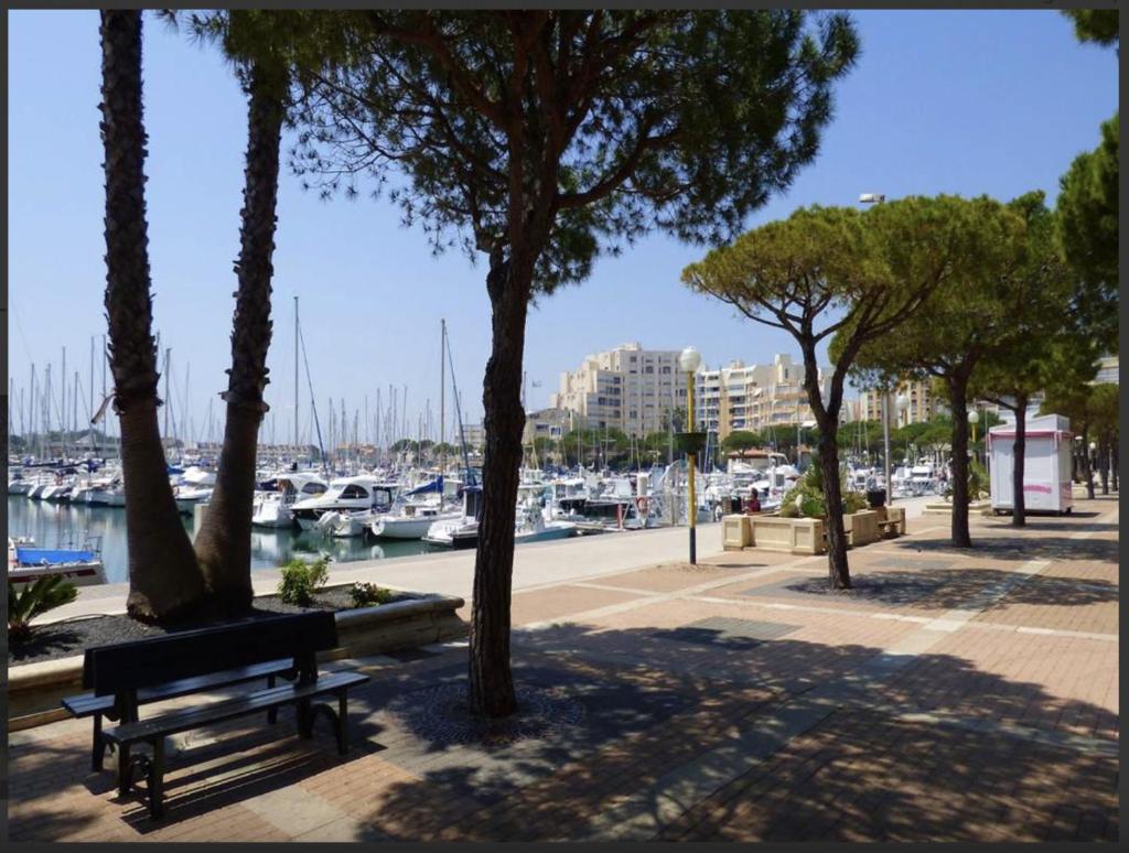 Logement entier port et plages Carnon photo 3